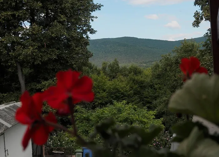 Rokaberc Vadaszhaz Hotel